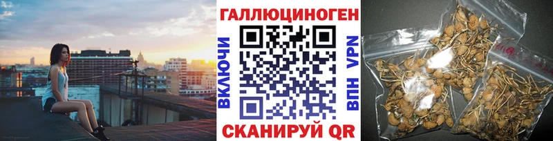 OMG ссылки Лукоянов Псилоцибиновые грибы Psilocybe